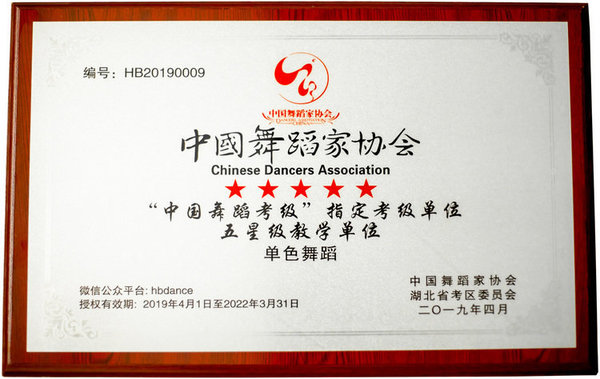 中国舞蹈家协会5星级指定考级单位